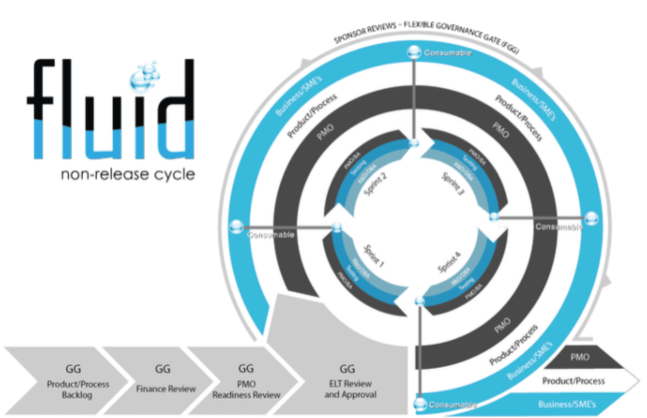 Diagram of a Fluid non-release cycle: governance and sprints without release activities.